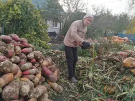 15 октября - День сельских женщин.