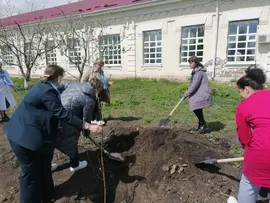 "Сирень Победы"