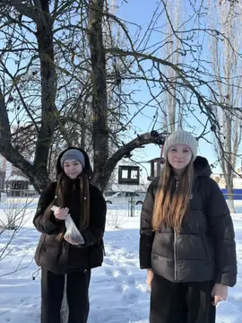 Стартовала ежегодная Всероссийская экологическая акция «Покормите птиц зимой»