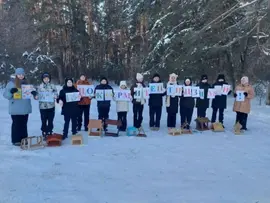 Учащиеся и активисты добровольческого отряда «Энергия добра» приняли участие в жизненно важной акции «Покормите птиц зимой!»