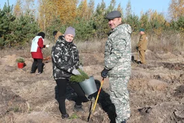 Сохраним лес