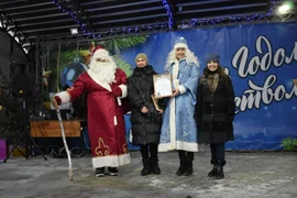 Новогодняя столица Добровского района