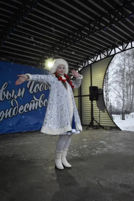 Новогодняя столица Добровского района