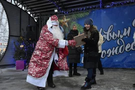 Новогодняя столица Добровского района