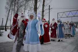 Новогодняя столица Добровского района