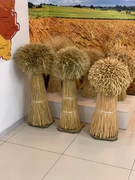 Наследие предков храним