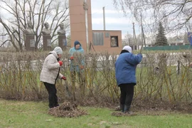 В Добровском районе стартовал двухмесячник по благоустройству