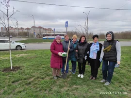 Субботник на рябиновой аллее