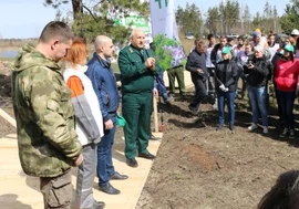 Член Союза женщин Липецкой области приняла участие в посадке саженцев сосен