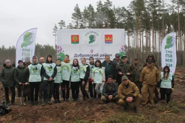 Акция Сад Памяти в честь погибших героев Великой Отечественной войны проходит в Добровском районе