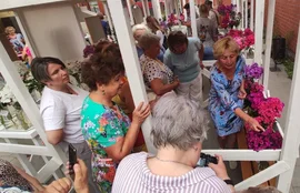 В филиале Липецкого историко- культурного музея "Городская управа в День Семьи, Любви и Верности прошел праздник с выставкой цветов