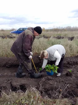Активистки Воловского района приняли участие в акции "Сохраним лес"