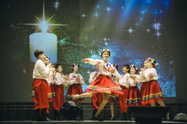 6 января в МЦКД с. Красное прошёл Новогодний Благотворительный концерт