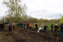 "Сад памяти" - общественное место с таким названием появилось  в Пашковском сельском поселении Усманского района