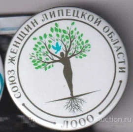 Липецкое время. Сюжет о работе Союза женщин Липецкой области.