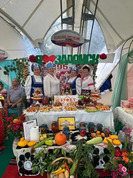Задонскому району исполнилось 95 лет, а городу Задонску 244 года