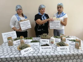 Сегодня День написания писем