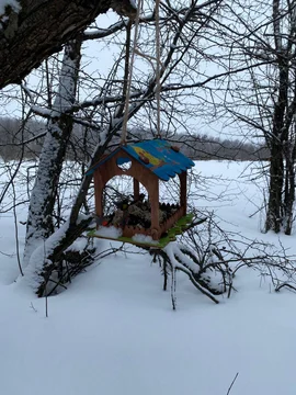 Активисты клуба своим примером  вдохновляют и напоминают: "Покормите птиц зимой"