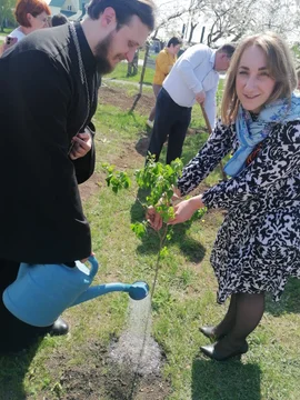 Открытие  мемориальной  доски и высадка сиреневой аллеи в память о медработниках  - ветеранах и участниках ВОВ