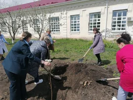 "Сирень Победы"