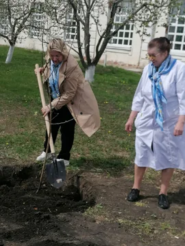 "Сирень Победы"