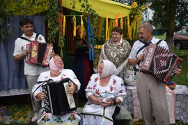 Воробьёвский подсолнух