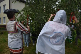 Воробьёвский подсолнух