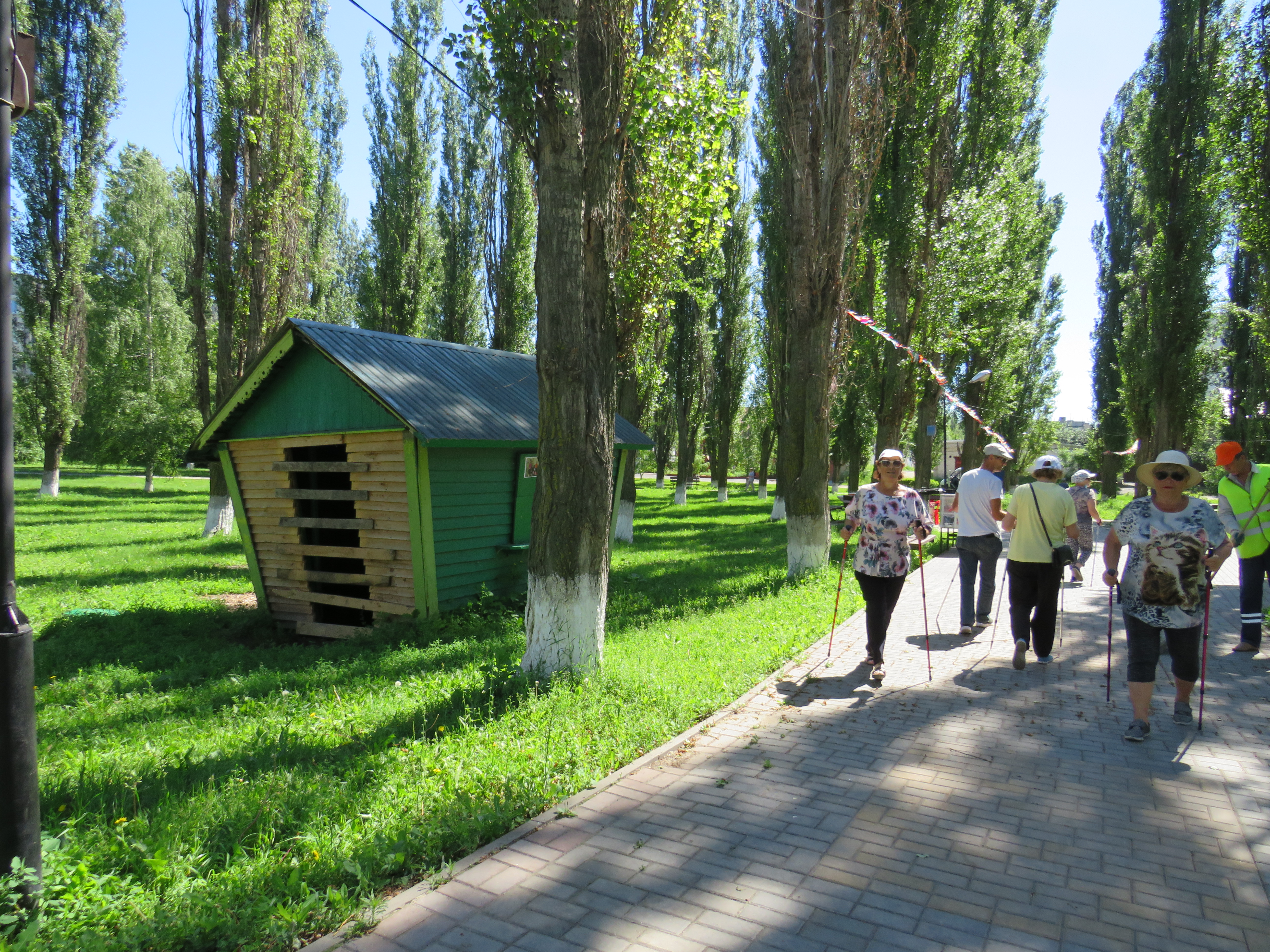 Возраст спорту не помеха