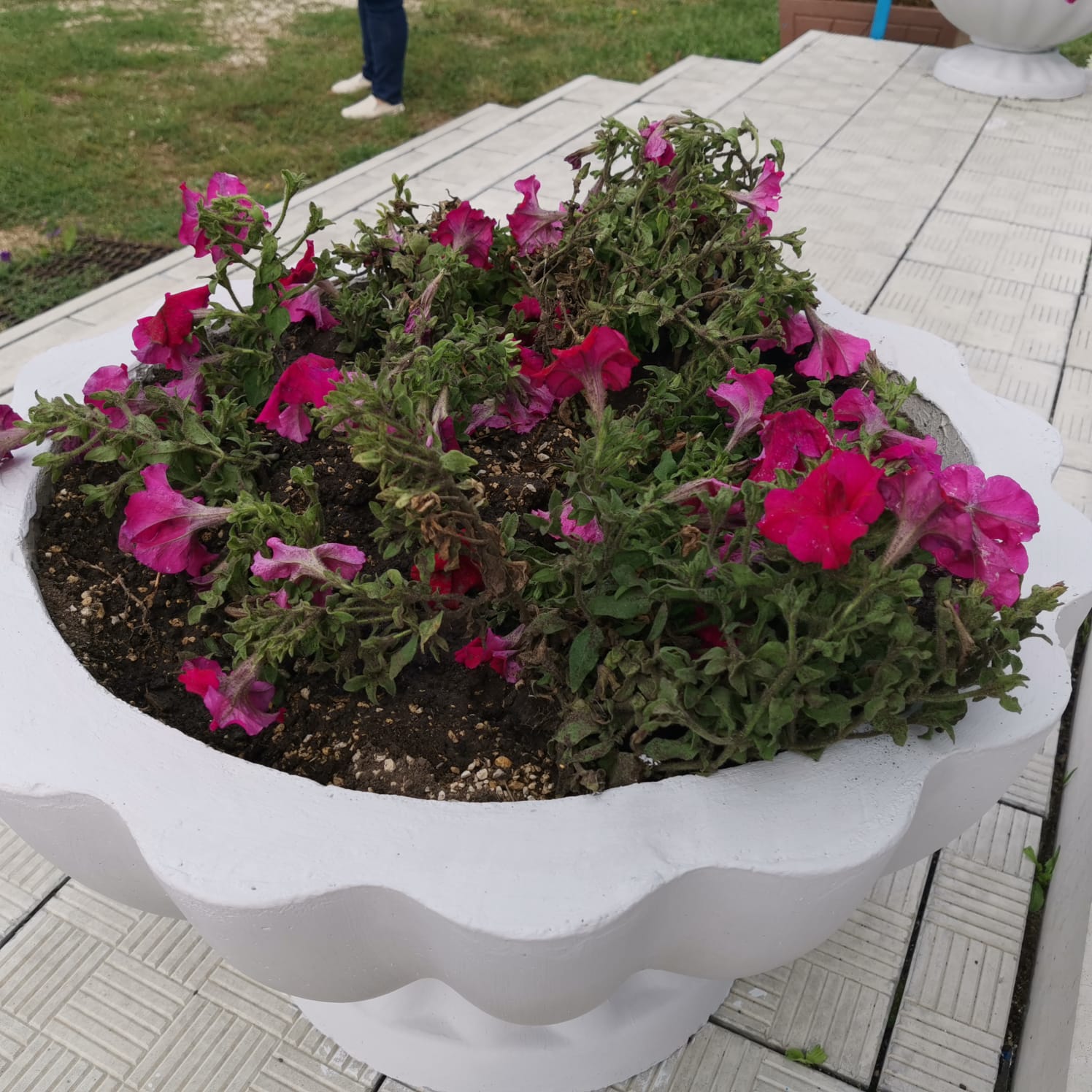 Подарок к престольному празднику