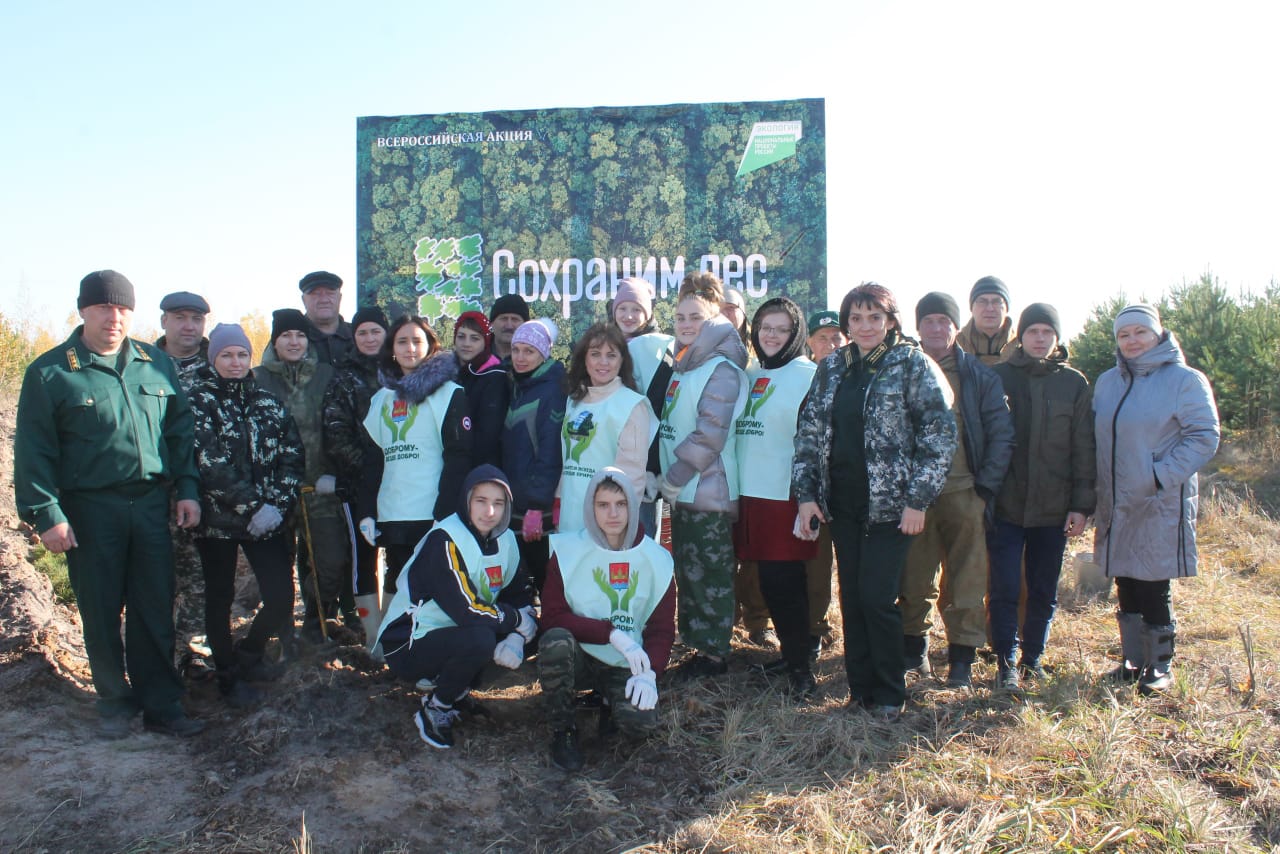 Сохраним лес