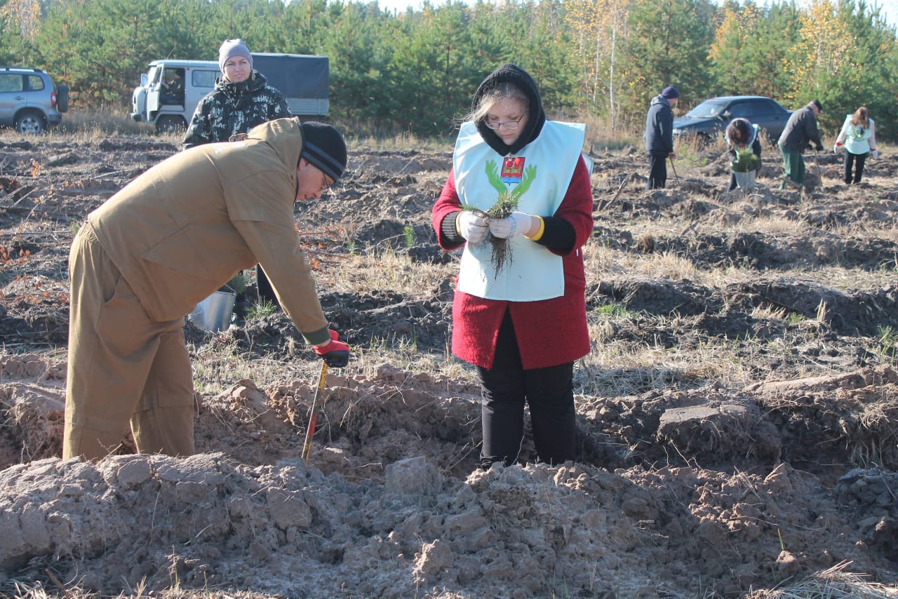 Сохраним лес