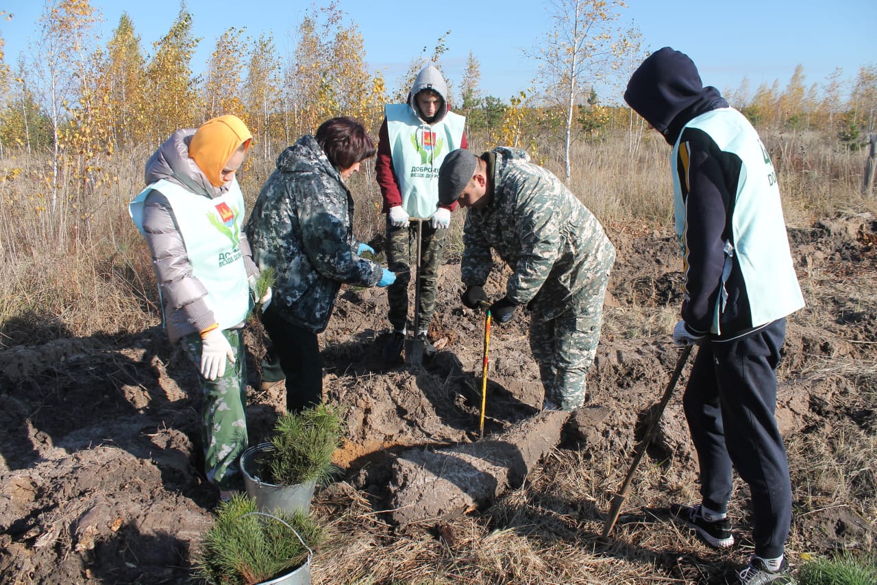 Сохраним лес