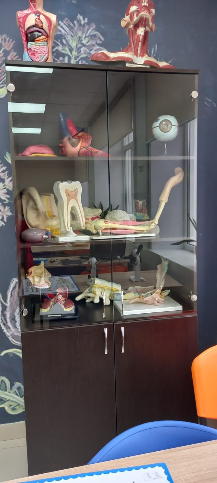 В Липецкой области открылся медицинский класс