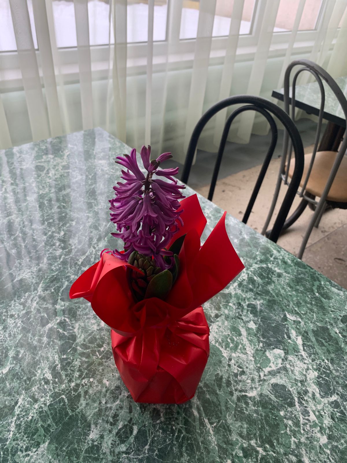 Липецкое региональное отделение «Союза женщин России» с первых дней включилось в сбор гуманитарной помощи для беженцев, прибывших из ДНР и ЛНР в наш регион.