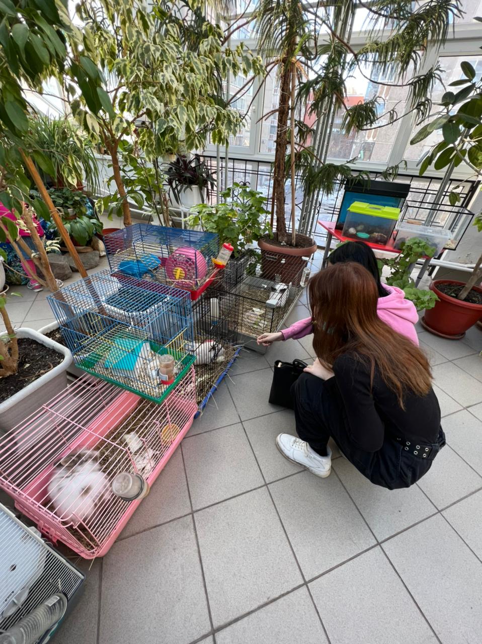 21 марта - День этикета для подростков