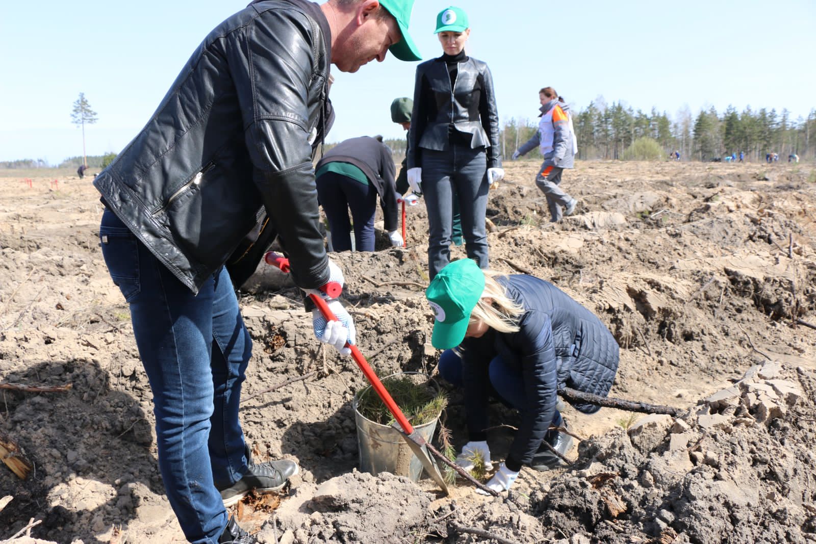 Член Союза женщин Липецкой области приняла участие в посадке саженцев сосен