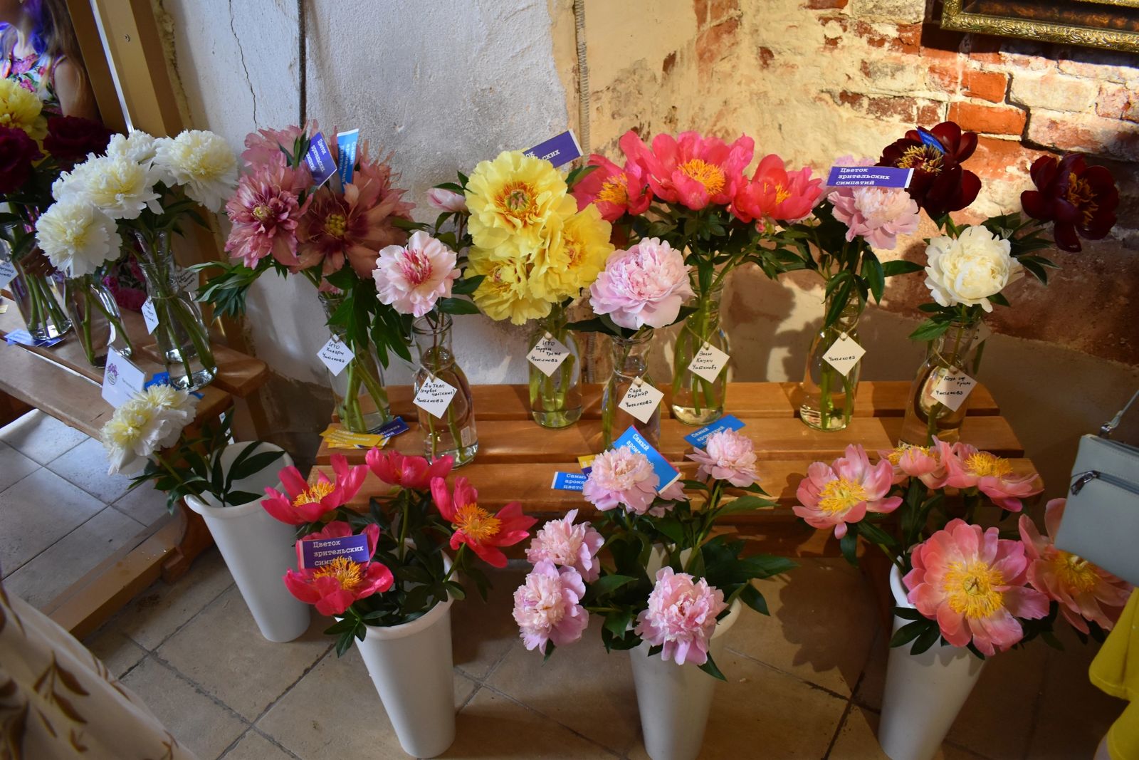 На территории музея "Гордская управа" прошел фестиваль "Цветущий Липецк"