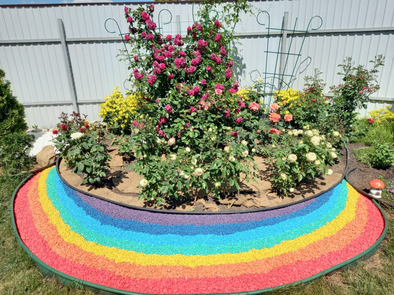 С февраля 2021 года Данковское районное отделение инициировало проект "В КРУГУ ДРУЗЕЙ"