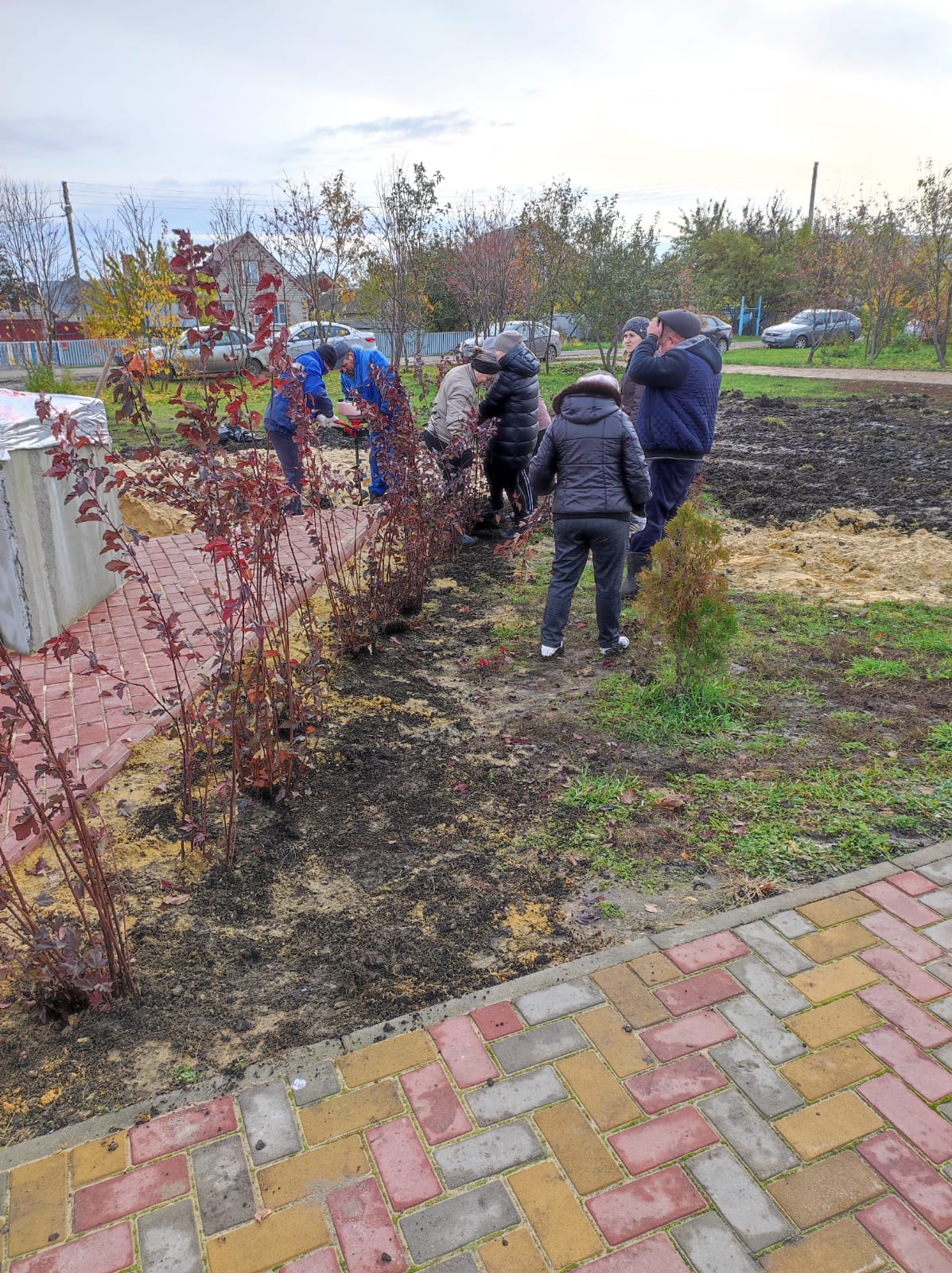 В селе Тербуны высадили более двухсот кустарников