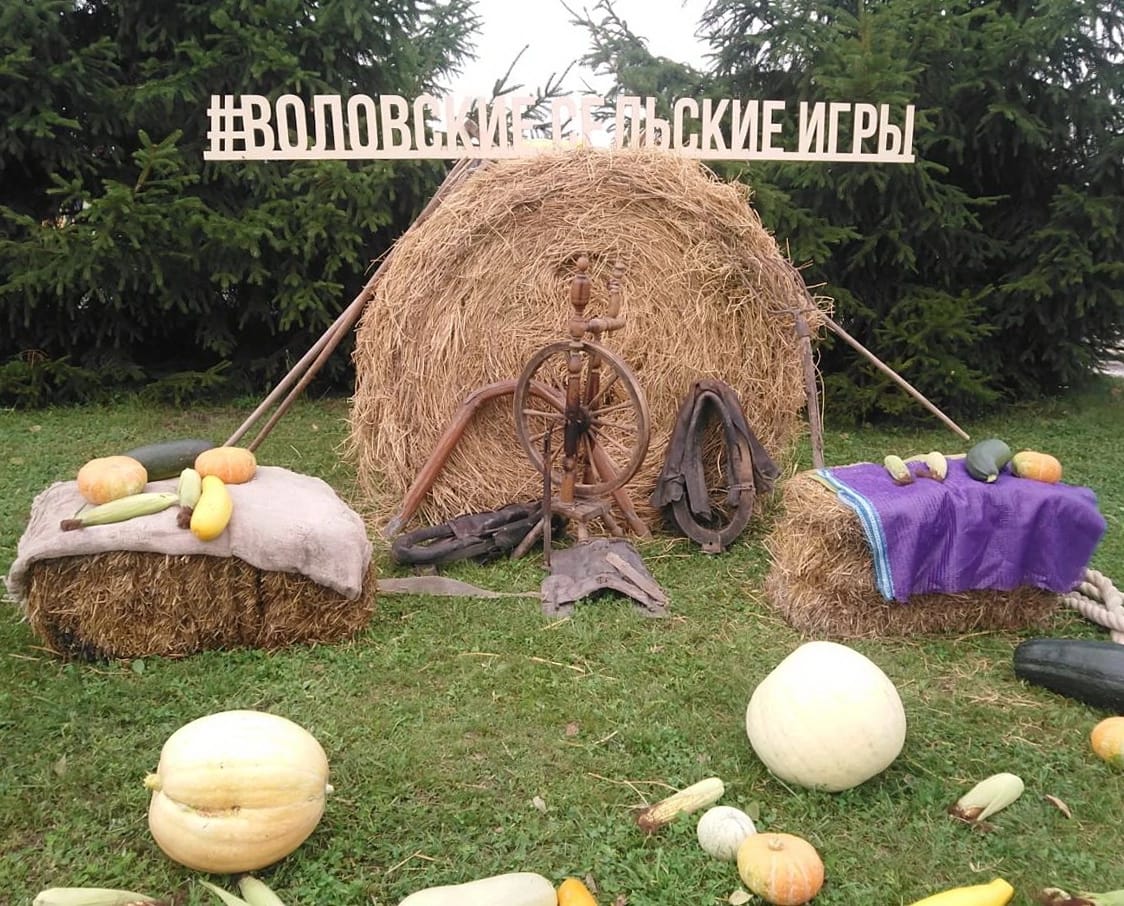 Ярко, позитивно и увлекательно Воловский район отметил свое 95-летие