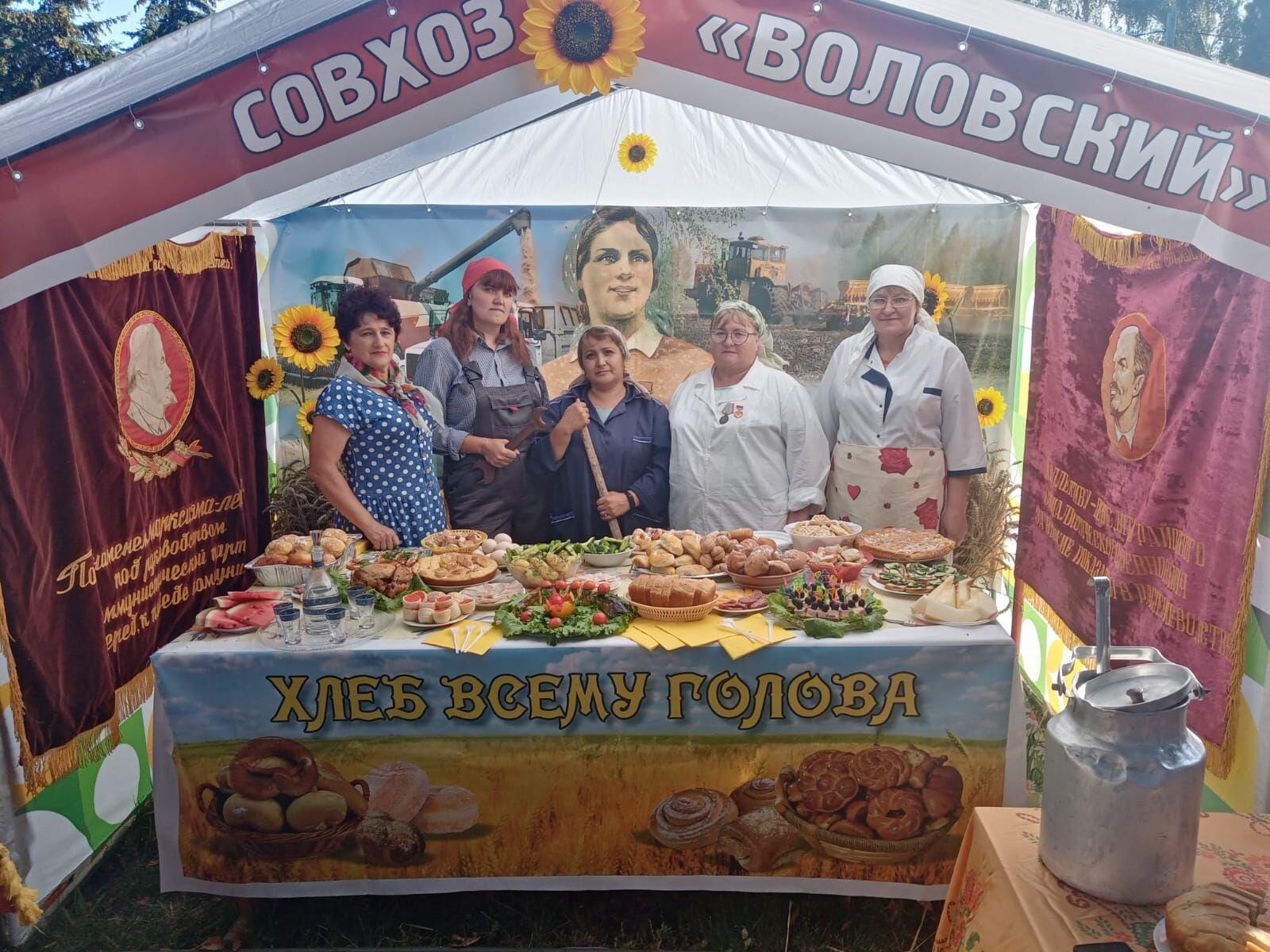 Ярко, позитивно и увлекательно Воловский район отметил свое 95-летие