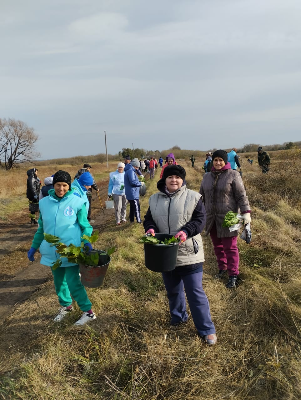 В Воловском районе прошла акция "Сохраним лес"