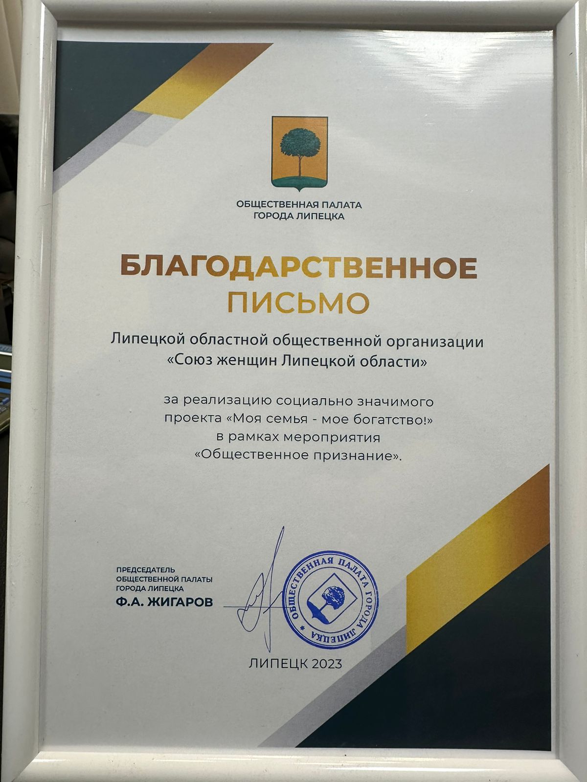 В городском Совете депутатов 20 декабря состоялось итоговое пленарное заседание Общественной палаты города Липецка