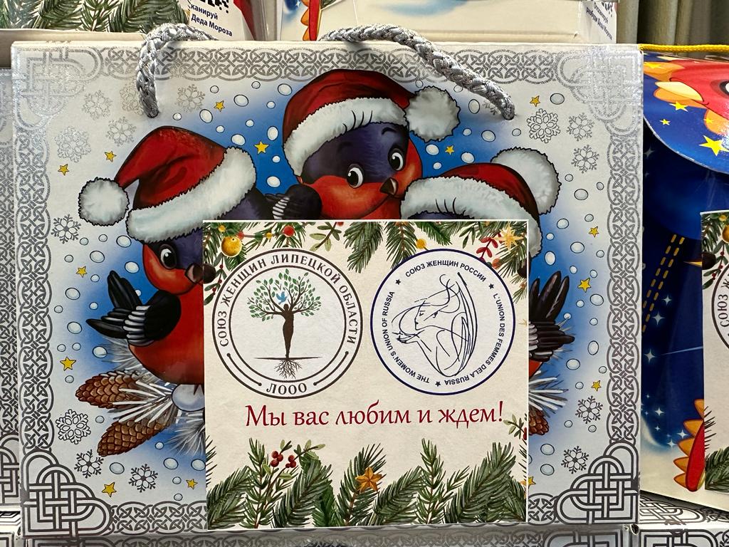 В преддверии Нового года Союз женщин Липецкой области организовали отправку гуманитарного груза для липецких военных