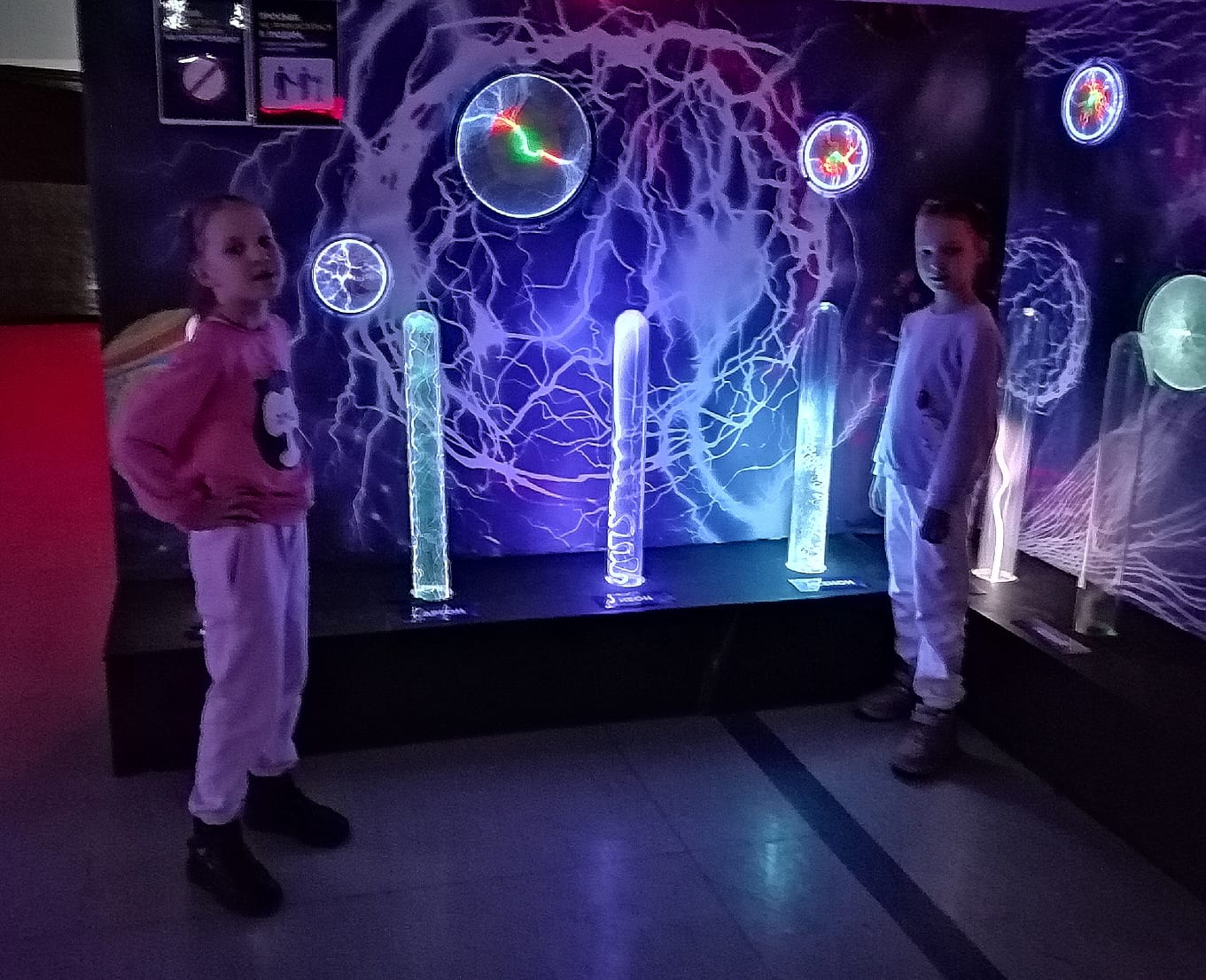 В этом году Союз Женщин Липецкой области принял меня в свои ряды. 