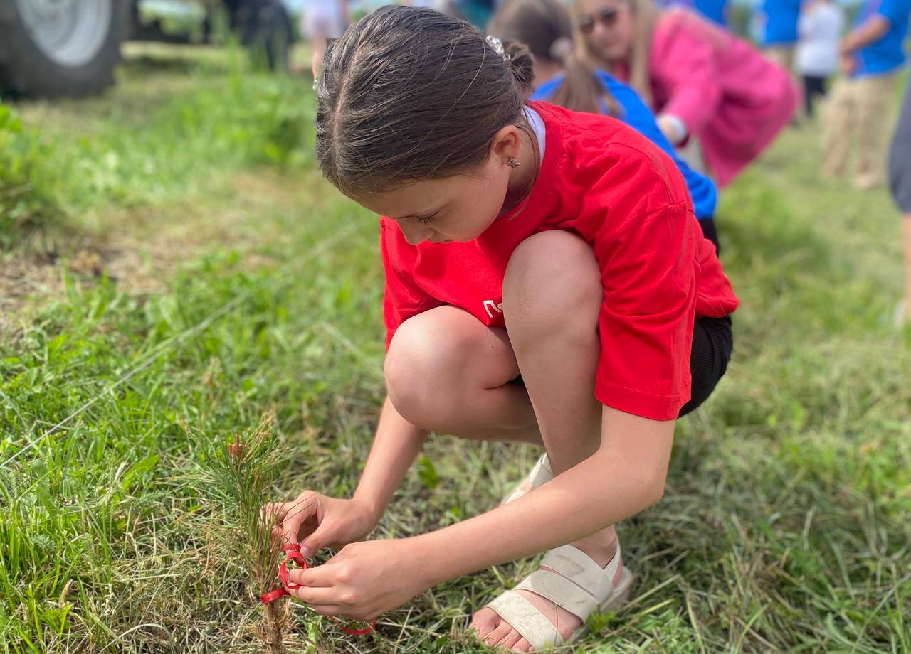 5 июня 2024 года в Краснинском районе провели  акцию «Сад памяти»