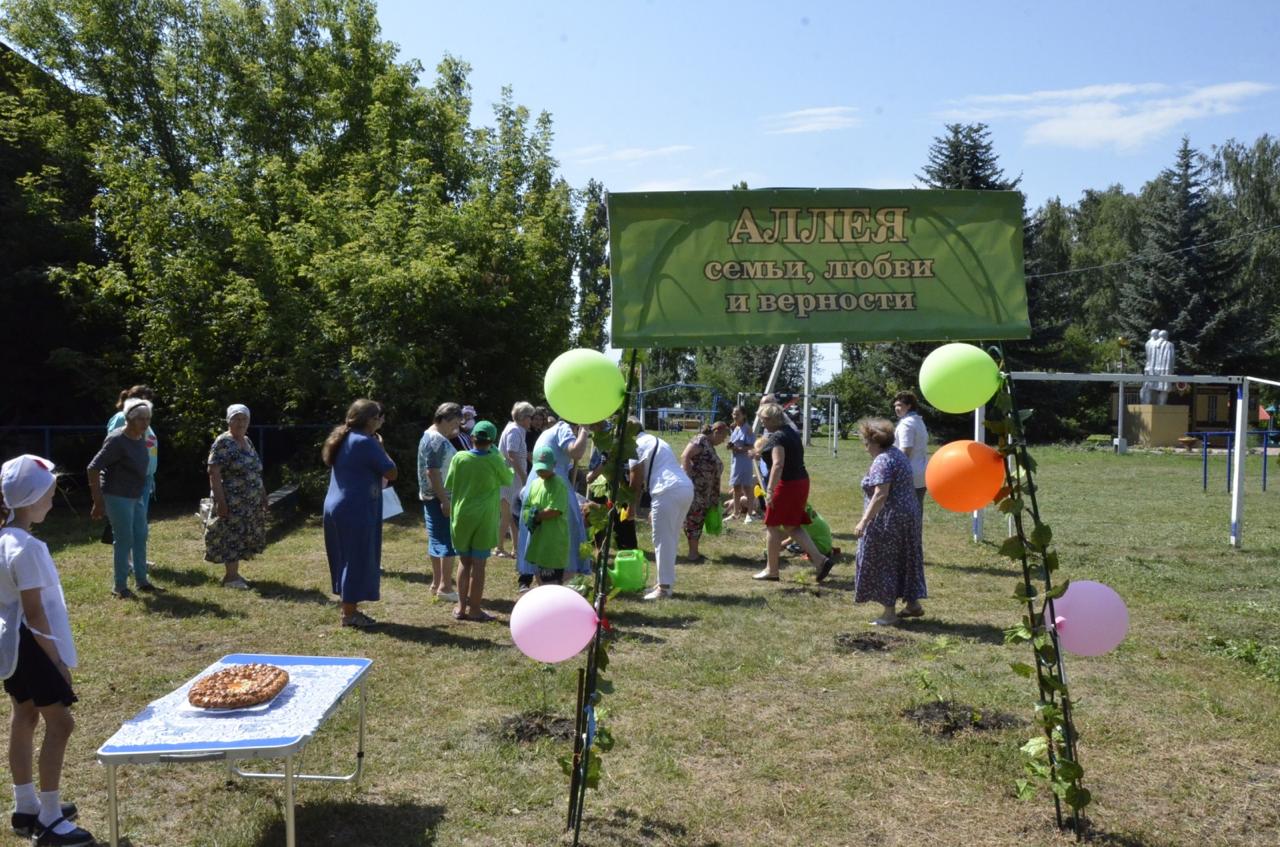 В Добринсокм районе появилась "Аллея семьи"
