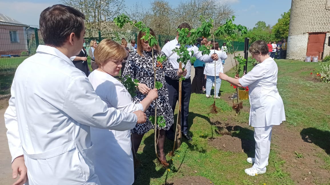 Открытие  мемориальной  доски и высадка сиреневой аллеи в память о медработниках  - ветеранах и участниках ВОВ