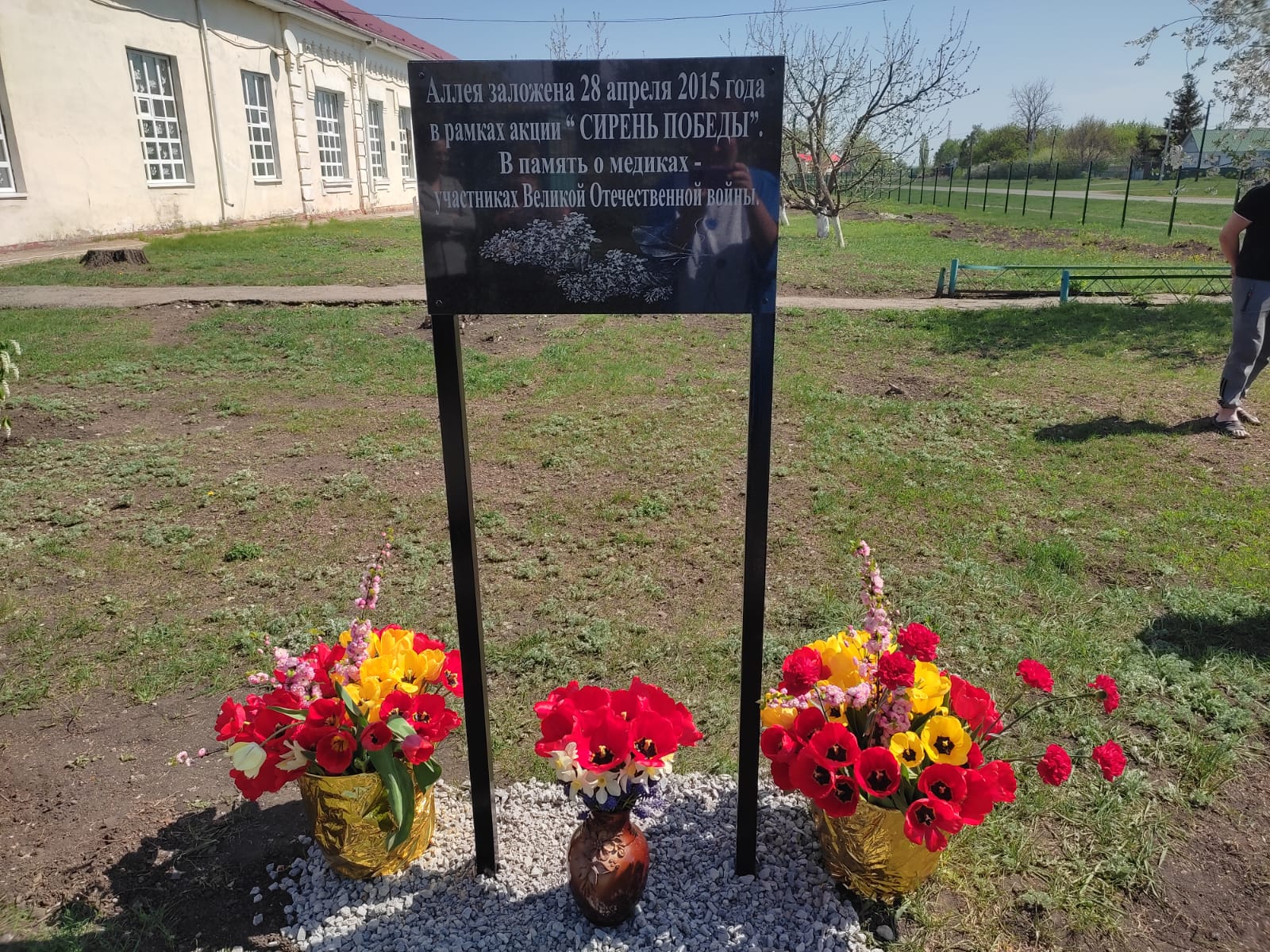 Открытие  мемориальной  доски и высадка сиреневой аллеи в память о медработниках  - ветеранах и участниках ВОВ