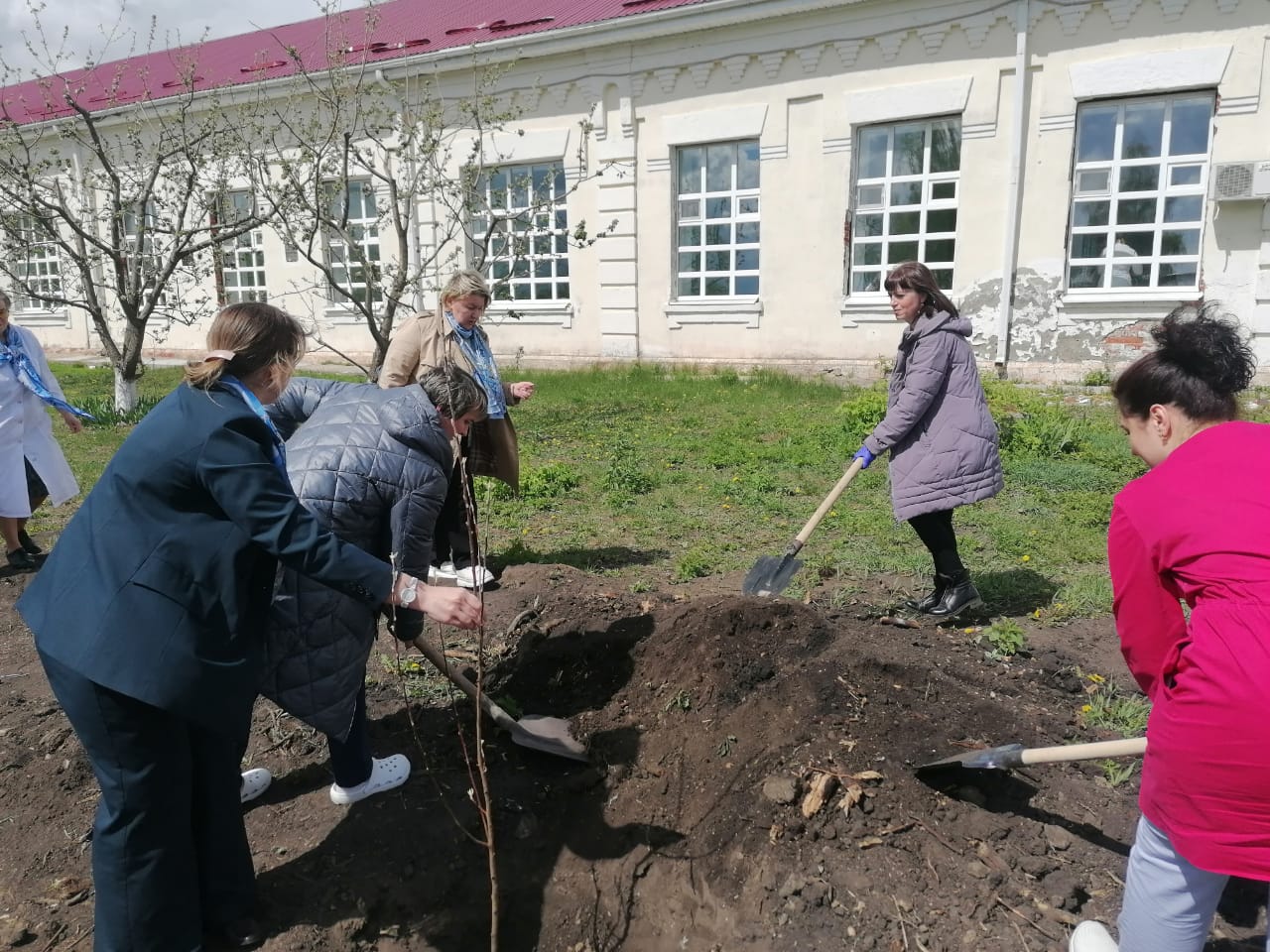 "Сирень Победы"